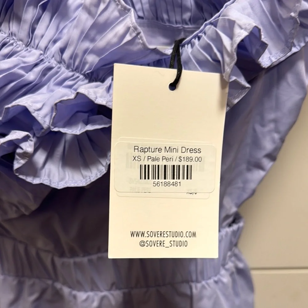 Lavender Ruffled Dress - Picture 4 of 4